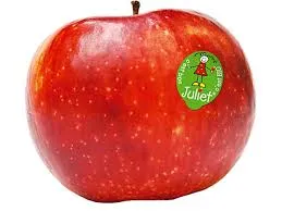 Pomme Juliet bio