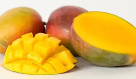 Mangue