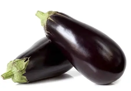 Aubergine bio