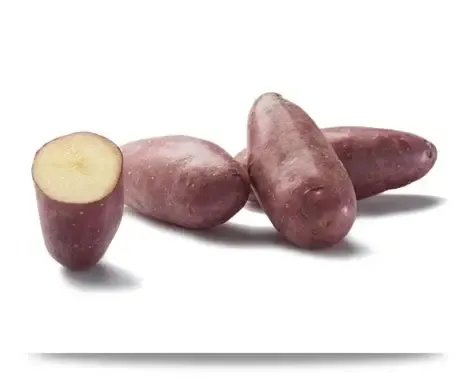 Pomme de terre Cheyenne bio