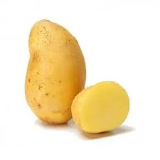 Pomme de terre Charlotte bio