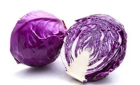 Chou rouge bio