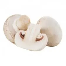 Champignon blanc