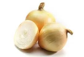 Oignon doux des Cévennes