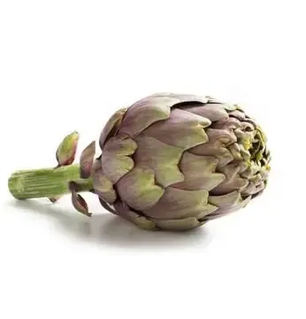 Artichaud violet bio