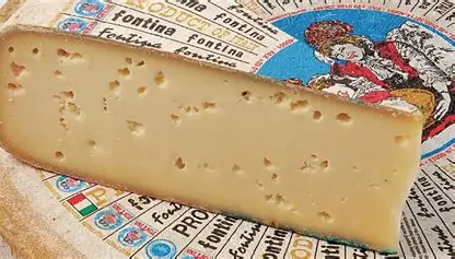Fontina